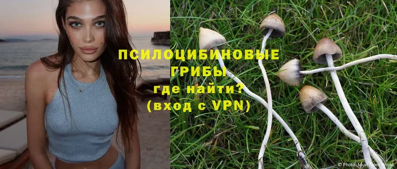 Галлюциногенные грибы Magic Shrooms  Миллерово 